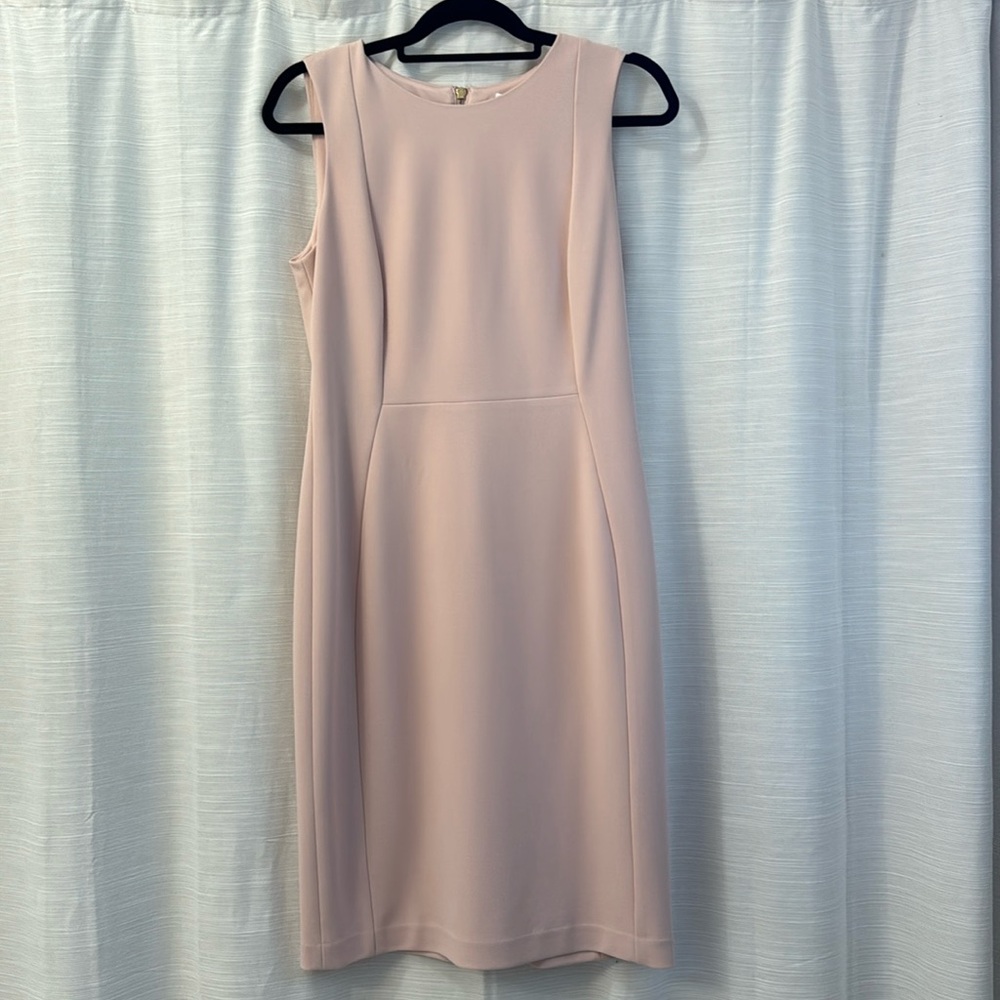 Pale pink Calvin Klein sheath.  Size 10